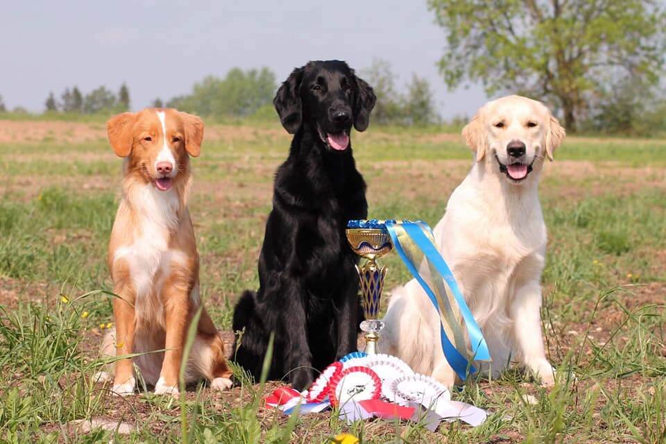 Atstovaujamos produkcijos privalumai