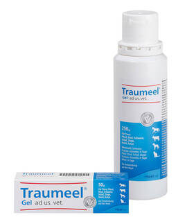 Traumeel Gel