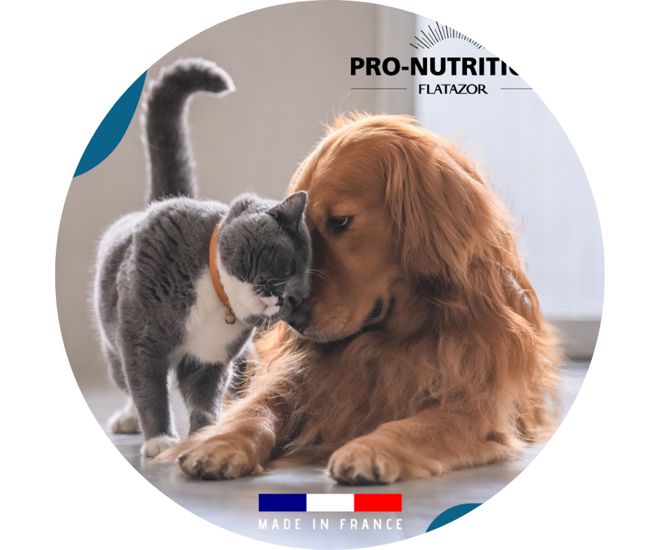 Reikšmingos inovacijos išskirtinei "Pro Nutrition" ėdalo kokybei