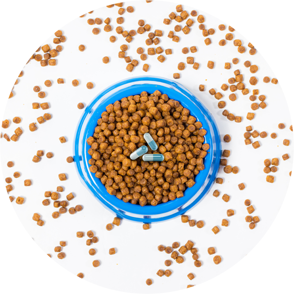 Probiotikų maiste nauda augintiniams