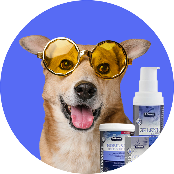 Sveikos kremzlės saugo sausgysles ir sąnarius